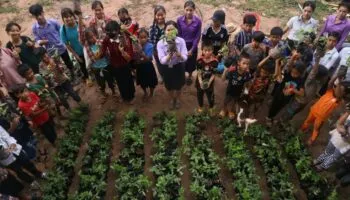 Environment teacher's activity